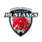Tabla general Chicago Mustangs MASL 14-15